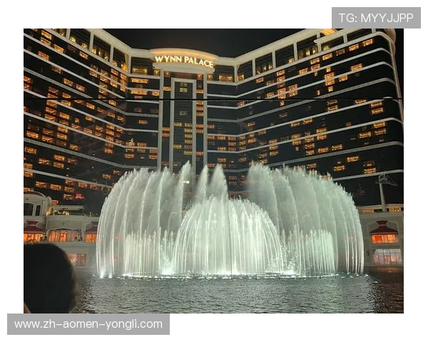 永利皇宫集团网址查询步骤详解帮助新用户快速上手