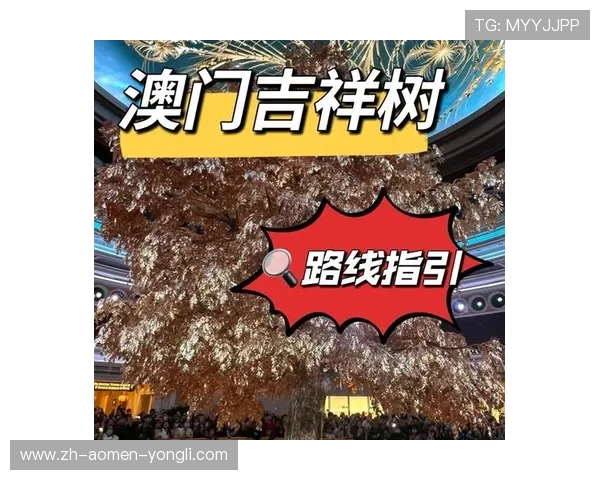 澳门永利集团网址登录入口详细指南，确保用户顺利进入官网操作流程